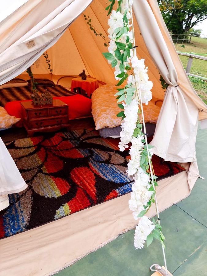 Walnut Tree Glamping Hotel Sturry Kültér fotó