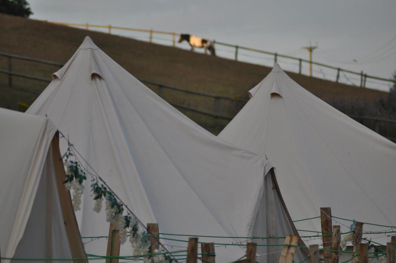 Walnut Tree Glamping Hotel Sturry Kültér fotó